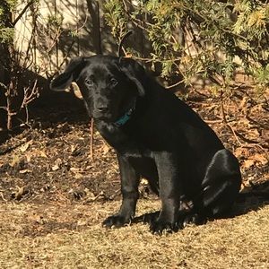 Meet your Posher, Renee